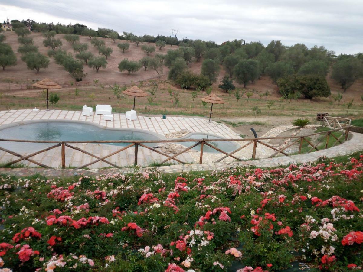 Angolo Di Paradiso Formello Εξωτερικό φωτογραφία